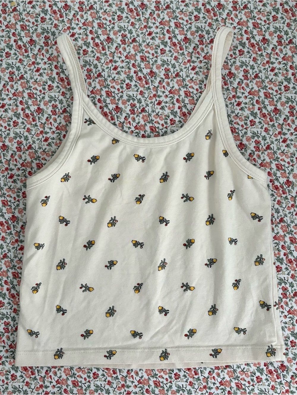 ARQ Calico